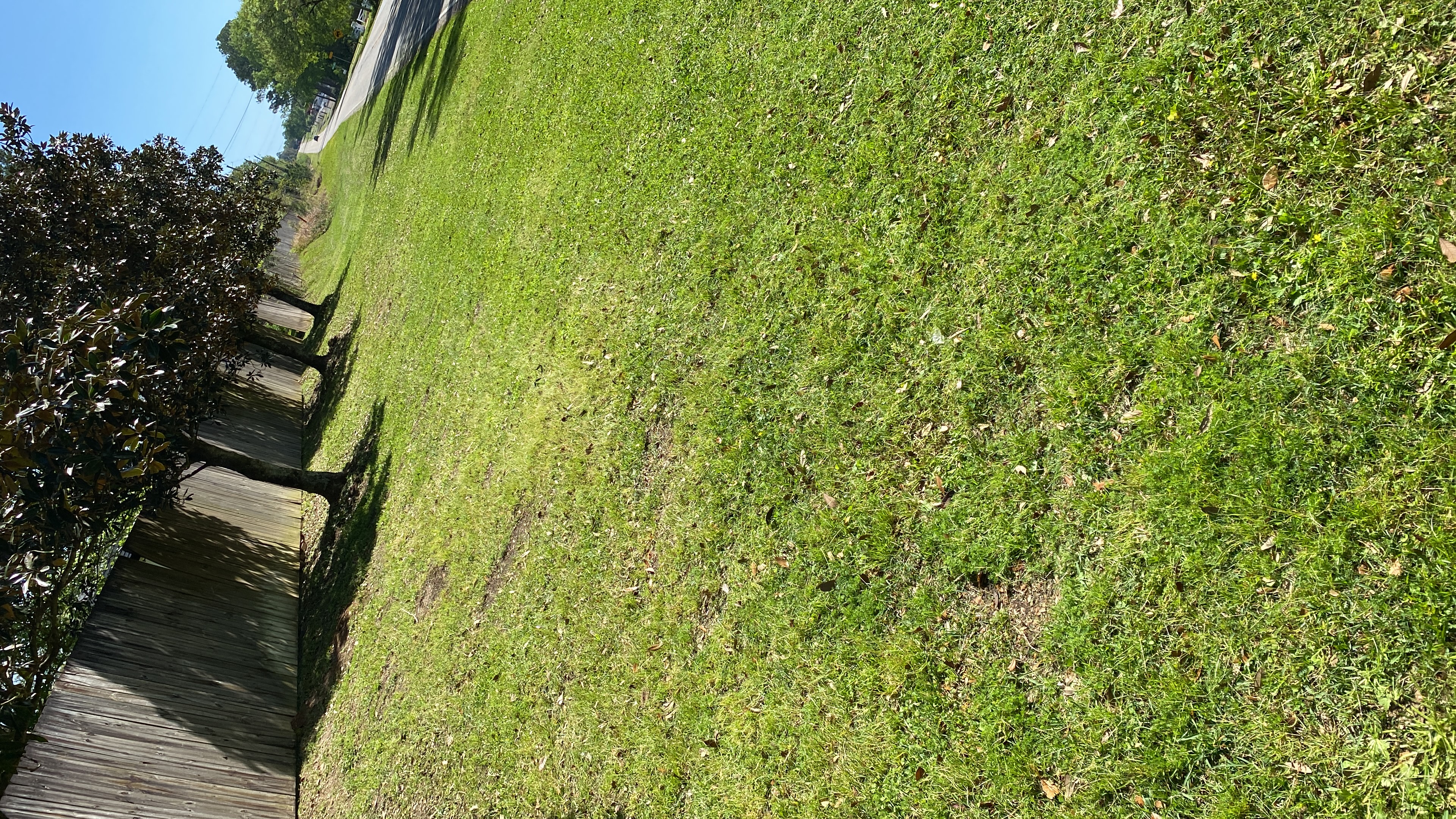 Lawn Care