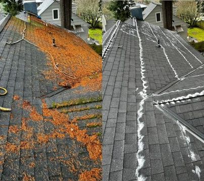 Roof Cleaning Before After