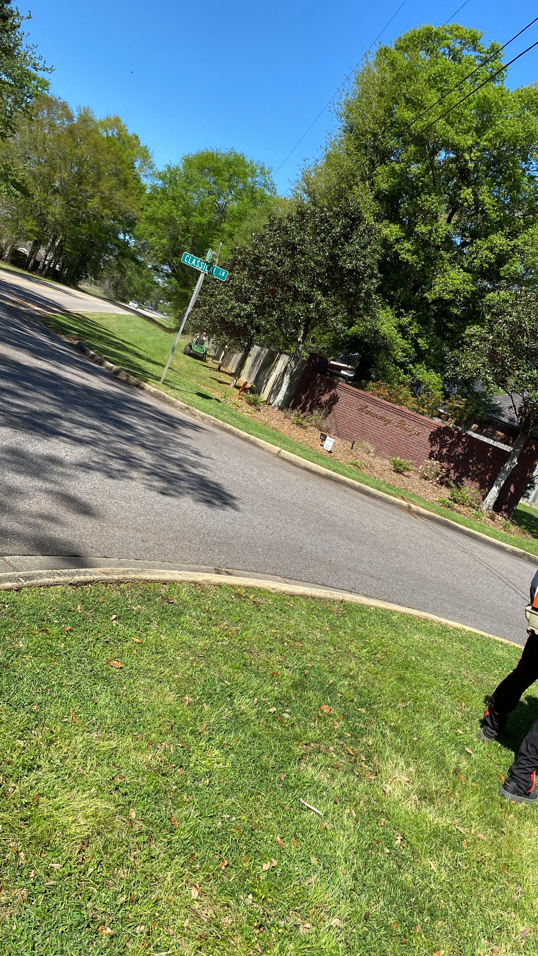 Lawn Mowing